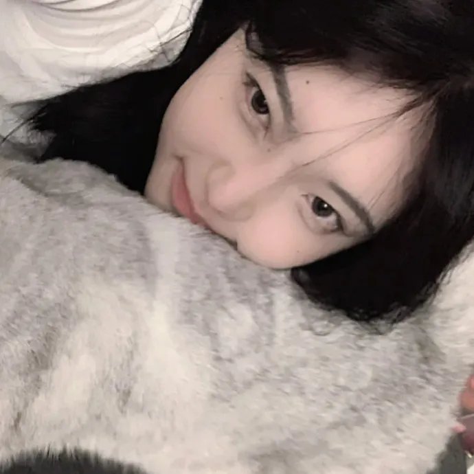 囧妈的极地任务